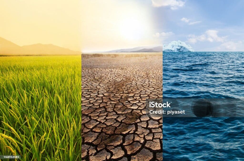 Climate Parametric Risk Solution (CPRS)