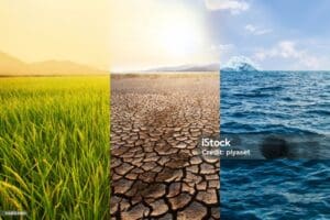 Climate Parametric Risk Solution (CPRS)