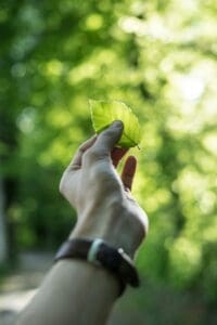 AgriFuTech