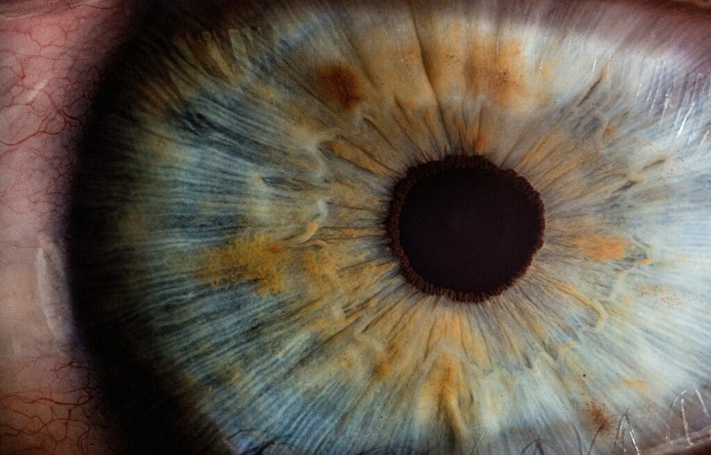 VISION3D