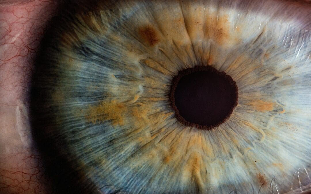 VISION3D